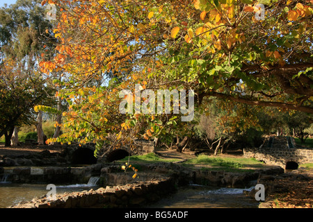 Israël, la Jordan River Park Banque D'Images