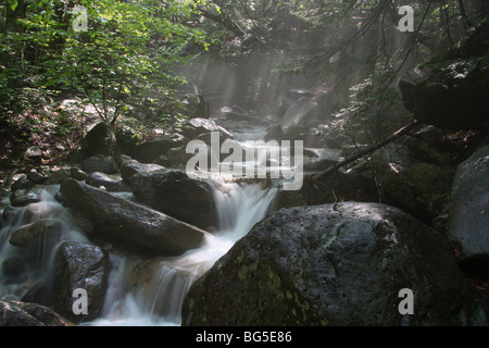 Dry Brook cascades de la piste de Falling Waters tôt le matin avec les rayons du soleil à travers le brouillard de coupe et feuillage. Banque D'Images