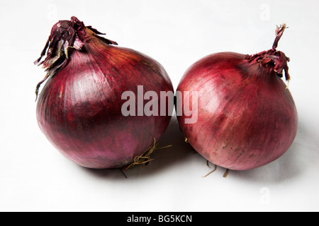 Deux oignons rouges sur fond blanc Banque D'Images