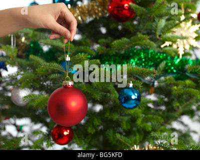 Woman holding Christmas ornament in a hand decorating a Christmas Tree Banque D'Images