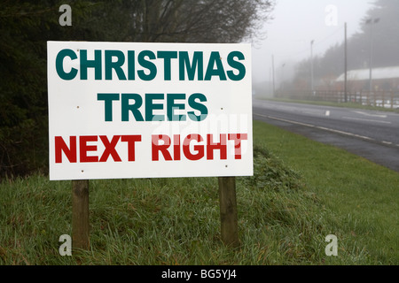 arbres de noël prochain panneau de droite au bord de la route dans comté de fermanagh nord de l'irlande royaume-uni lieu vendant de vrais arbres de noël Banque D'Images