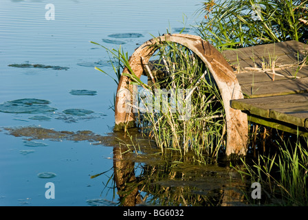 Un dock en utilisant une ancienne roue de chariot en acier recouverte de roseaux et d'herbes se trouve dans un étang qui reflètent le ciel bleu Banque D'Images