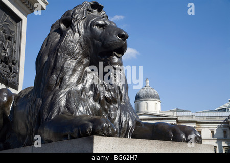 Londres - lion de Nelson à Trafalgar square memorial Banque D'Images