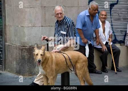 Les vieillards se prennent facilement avec des chiens de compagnie et des bâtons de marche pendant la sieste dans une rue arrière du quartier du Raval de Barcelone Catalogne Espagne Banque D'Images