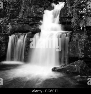 Maison de cicatrice monochrome Falls, près de Mickfield, Swaledale, Yorkshire du Nord Banque D'Images