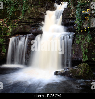 Maison de cicatrice Falls, près de Mickfield, Swaledale, Yorkshire du Nord Banque D'Images