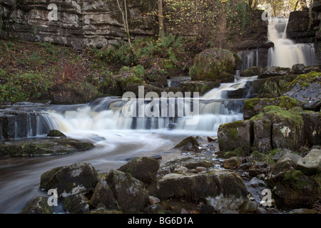 Maison de cicatrice Falls, près de Mickfield, Swaledale, Yorkshire du Nord Banque D'Images