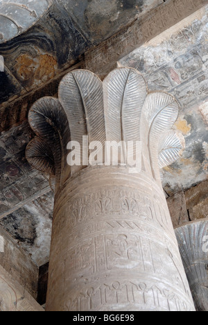 Piliers à Edfou temple d'Horus, l'Égypte Banque D'Images