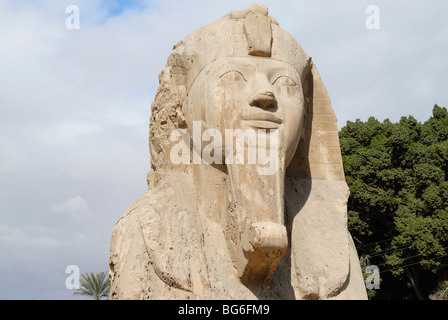 Statue du Sphinx d'albâtre, de l'Égypte Banque D'Images