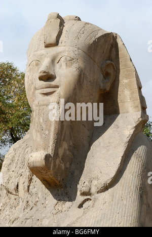 Statue du Sphinx d'albâtre, de l'Égypte Banque D'Images