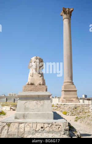 La colonne de Pompée et le Sphinx à Alexandria Serapeum Banque D'Images