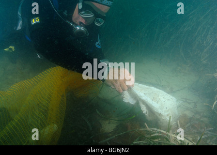 Scuba Diver l'élimination des déchets de l'underwater bas de Saint Jean Cap Ferrat Banque D'Images