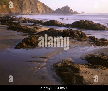 Californie - côte rocheuse de McClures Plage de Point Reyes National Seashore. Banque D'Images