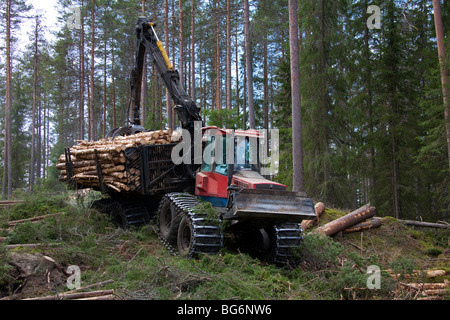 L'industrie forestière bois montrant les arbres / être chargé à bord d'engins forestiers / Timberjack harvester dans une forêt de pins Banque D'Images