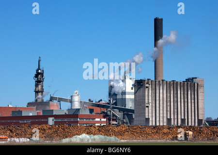 Piles de bois de pins empilés à partir de l'exploitation forestière en face de pâte et papier, la Suède Banque D'Images