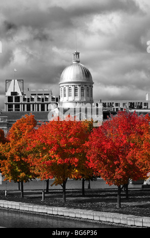 Automne dans le parc du Bassin Bonsecours à Montréal, Canada Banque D'Images