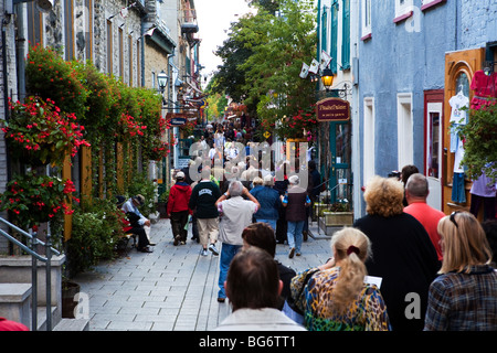 Rues du Vieux Québec, Canada Banque D'Images