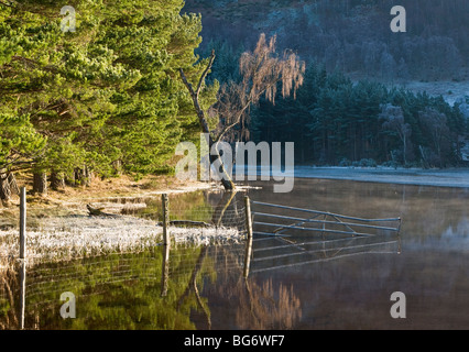 Matin d'hiver le gel sur le Loch Pityoulish Strathspey Aviemore Inverness-shire, région des hautes de l'Écosse. 5618 SCO Banque D'Images