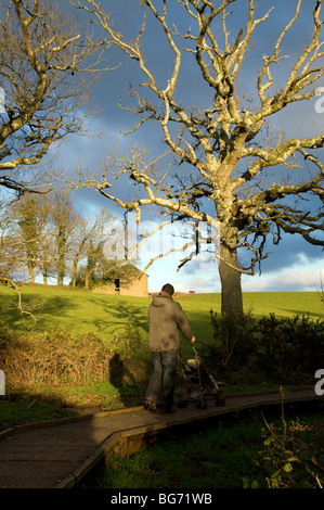 Occombe Farm est une ferme biologique à Paignton, Devon du sud,un jeune père pousse une poussette autour d'un accès facile à 2 km sentier nature Banque D'Images