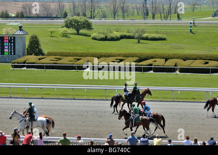 Chevaux pur-sang défilant à la tribune avant la course à la piste de Lexington Keeneland USA Kentucky Banque D'Images