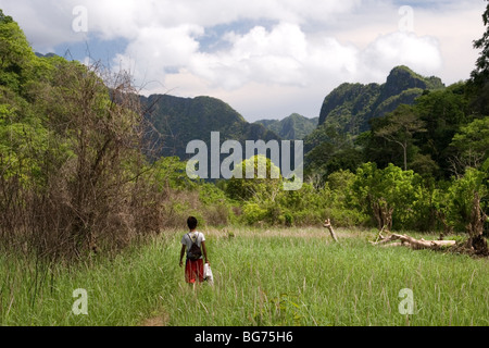 Un champ en jachère dans un petit endroit entouré de montagnes karstiques à Cabugao village de l'Île Coron en Philippines. Banque D'Images