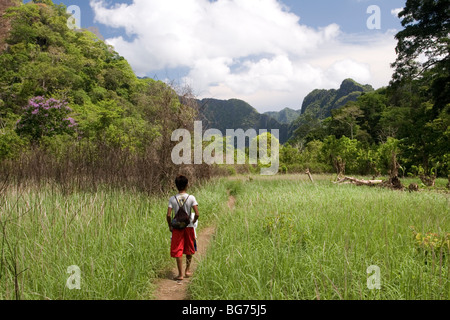 Un champ en jachère dans un petit endroit entouré de montagnes karstiques à Cabugao village de l'Île Coron en Philippines. Banque D'Images