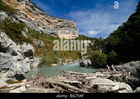 Gorges du Verdon ou Gorges du Verdon, & Log Jam ou River bloquées ou endiguées par Flotsom Logs ou Driftwood après inondation, & point sublime, France Banque D'Images