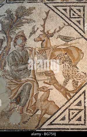 Orphée jouant un Lyre et les bêtes ou animaux C3-4th Mosaïque romaine à Arles Antique Museum, Musée de l'Arles Antique, Provence, France Banque D'Images