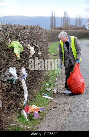 Stan Pierre inférieur de Apperley Gloucestershire UK qui recueille volontairement dans le domaine de la litière Banque D'Images