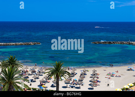 La plage de Cala Bona, Majorque, Baleares, Espagne Banque D'Images