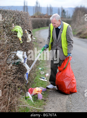 Stan Pierre inférieur de Apperley Gloucestershire UK qui recueille volontairement dans le domaine de la litière Banque D'Images