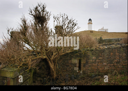 Jardins et bâtiments abandonnés - et le phare de travail - de Little Ross Island, sur la côte Solway de Dumfries et Galloway, Écosse, Royaume-Uni Banque D'Images