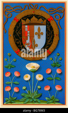 Armoiries et emblème de Marguerite de Navarre, reine de France du 16ème siècle. Lithographie couleur Banque D'Images