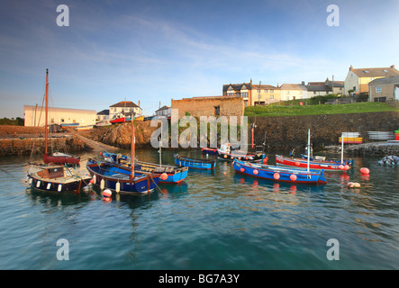 Bateaux amarrés dans le port de Coverack, Cornwall, Angleterre. Banque D'Images