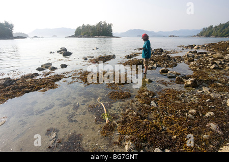 Femme regarde les étoiles de mer et des anémones à marée basse piscines sur l'île de Willis dans l'archipel Broken Group, Canada Banque D'Images
