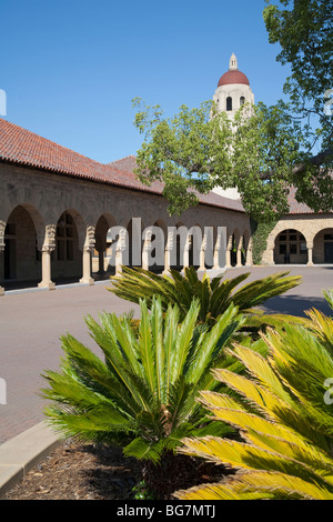 L'Université de Stanford, à Palo Alto, Californie, USA, Palo Alto, Californie, USA , Banque D'Images