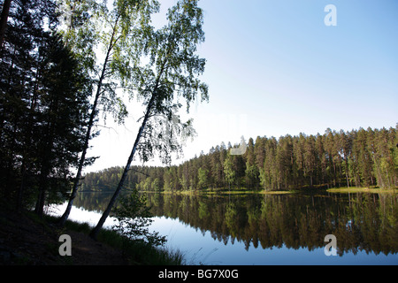 La région de Savonie du Sud Finlande Savonlinna Punkaharju Punkaharju Ridge Lake Saimaa Réserve naturelle du lac Pihlajavesi District Banque D'Images