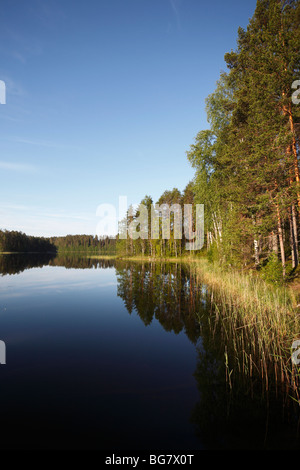 La région de Savonie du Sud Finlande Savonlinna Punkaharju Punkaharju Ridge Lake Saimaa Réserve naturelle du lac Pihlajavesi District Banque D'Images