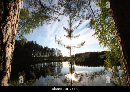 La région de Savonie du Sud Finlande Savonlinna Punkaharju Punkaharju Ridge Lake Saimaa Réserve naturelle du lac Pihlajavesi District T Banque D'Images