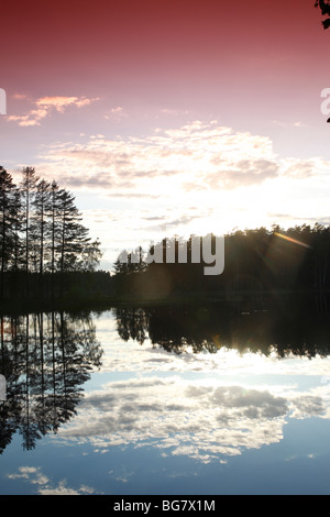 La région de Savonie du Sud Finlande Savonlinna Punkaharju Punkaharju Ridge Lake Saimaa Réserve naturelle du lac Pihlajavesi un District Banque D'Images