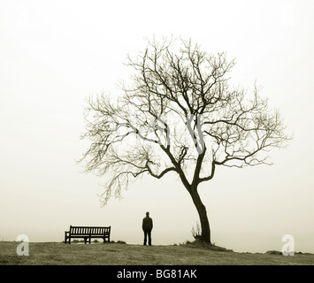 Un jeune homme debout par un banc et un arbre. Il est face à la mer sur un jour brumeux. Banque D'Images