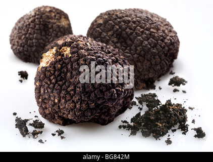 Truffes noires avec les morceaux de terre sur un fond blanc Banque D'Images