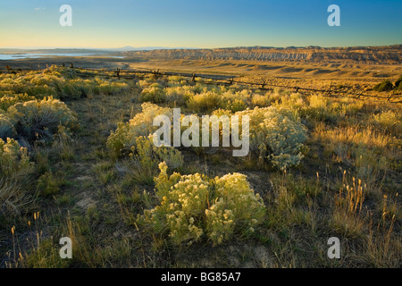 Les pâturages du désert, Flaming Gorge Recreation Area, Wyoming, USA Banque D'Images