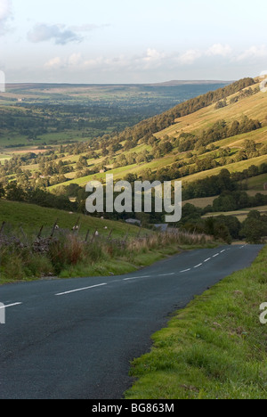 Yorkshire Dales à plus de Wensleydale et Château de Bolton dans la distance Banque D'Images