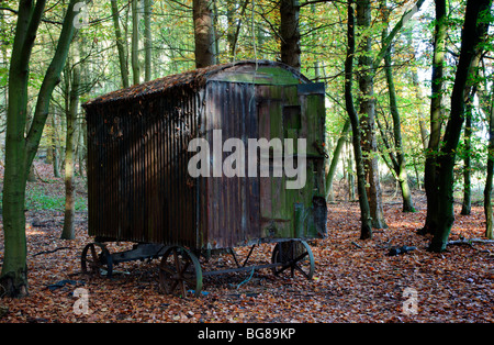 Ancienne cabane de berger dans les collines de Chiltern Oxfordshire England UK Banque D'Images