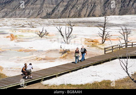 Balades sur les promenades de touristes sur la terrasse principale de Mammoth Hot Springs, Parc national de Yellowstone, Wyoming, USA. Banque D'Images