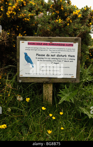 Inscrivez-vous d'empêcher l'accès aux falaises de reproduction en raison de Choughs, Péninsule de Gower, dans le sud du Pays de Galles, Royaume-Uni Banque D'Images