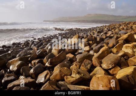 Cementstone jurassique sur plage, la baie de Kimmeridge, Dorset, Angleterre Banque D'Images