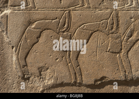 Relief représentant un groupe de danseurs. Nouveau Royaume. Temple de Louxor. L'Égypte. Banque D'Images