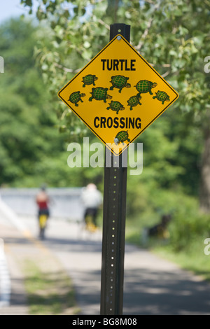 Route de tortues Crossing Sign, Erie, Pennsylvania, USA Banque D'Images